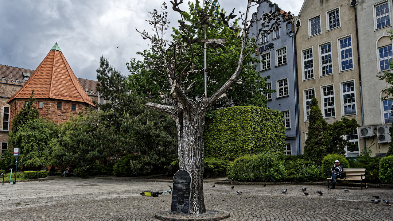 20220529 114715~Gdansk~Pomeranian~Poland